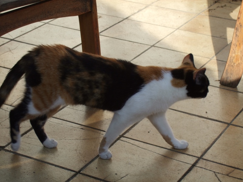 Ostern 2007 Orleshausen 073 